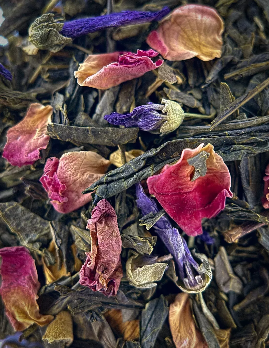 L'Esprit de Simone de Beauvoir : Jardin des Plantes - Sencha | N°41