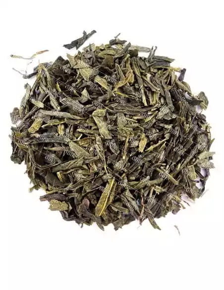 Ming Sencha | N°23