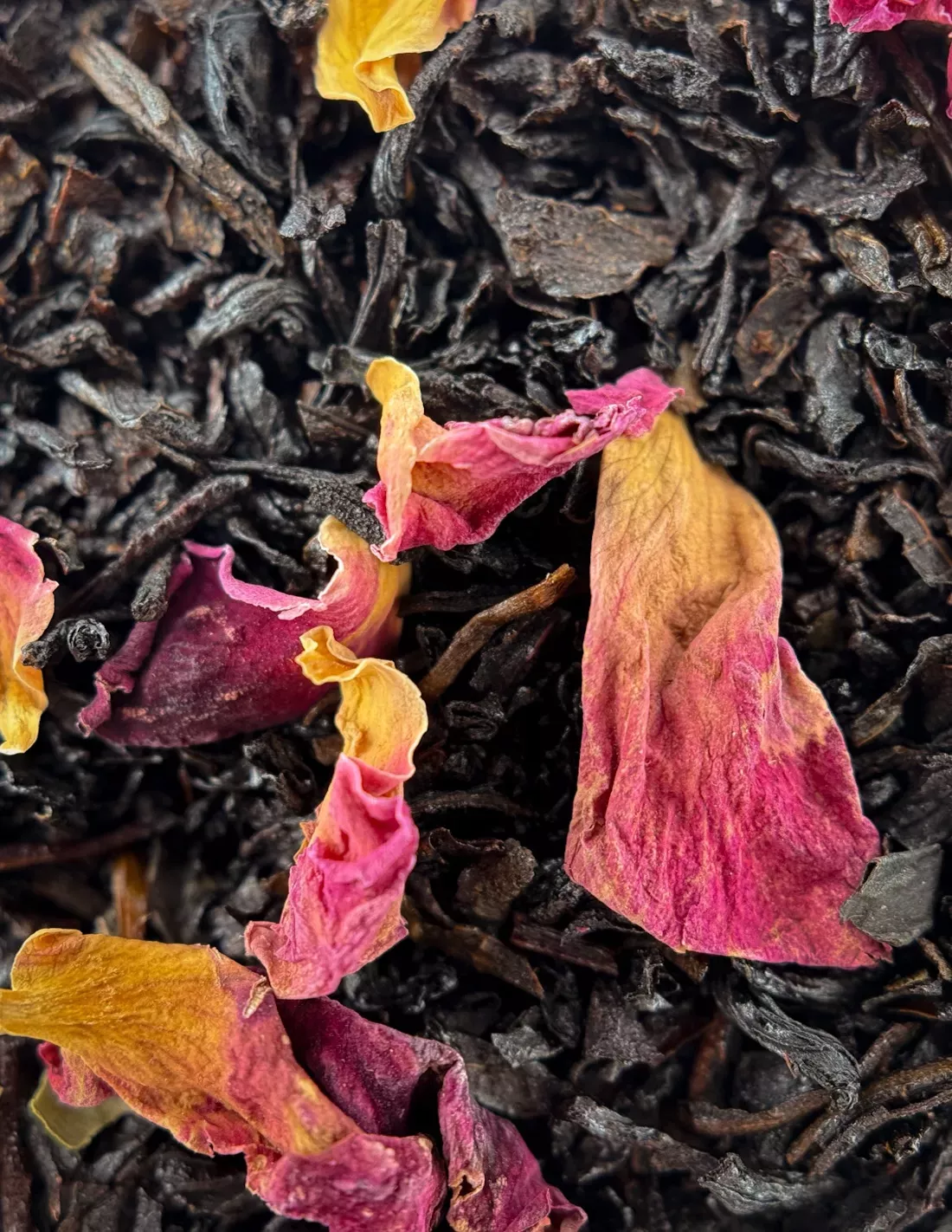Jardin d'Orient | N°7