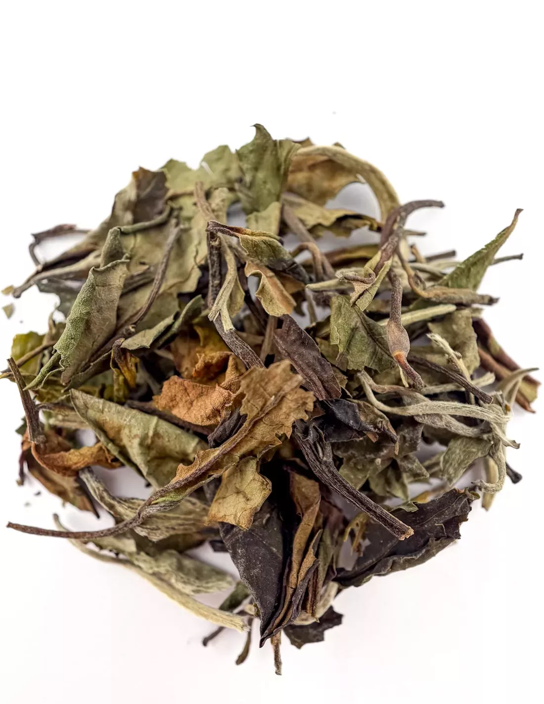 Pai Mu Tan du Fujian | N°24