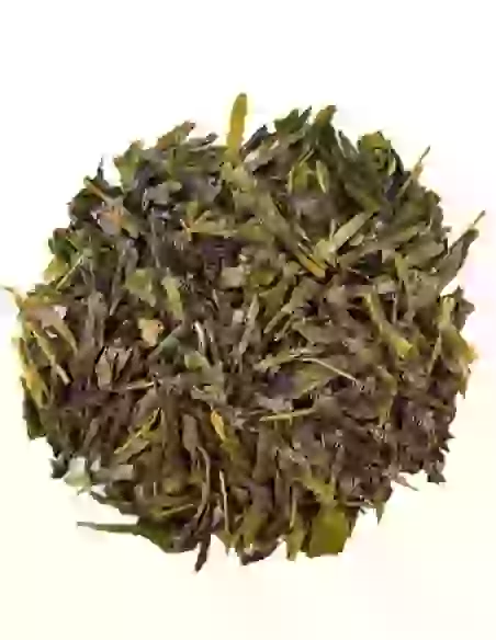 Sencha du Lord | N°26