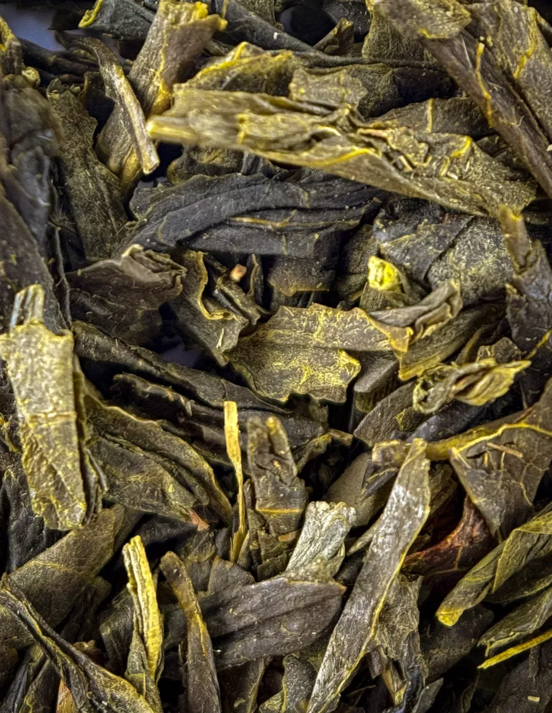 Sencha du Lord | N°26