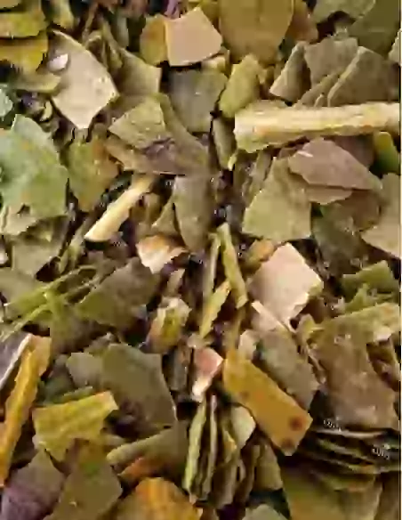 Maté Origine | N°35