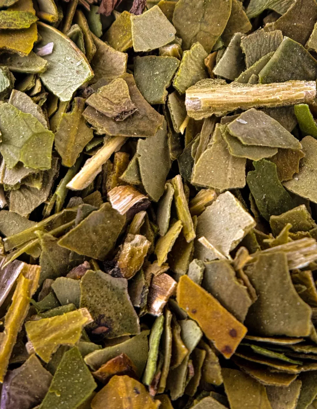 Maté Origine | N°35