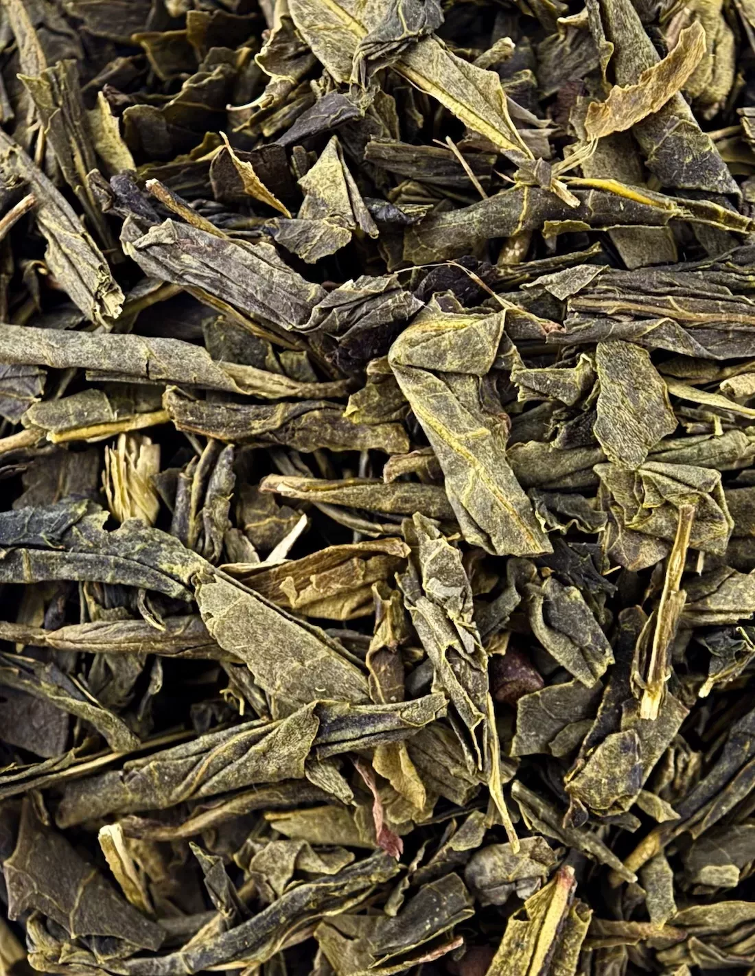 Ming Sencha | N°23