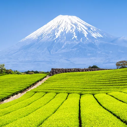 Japon