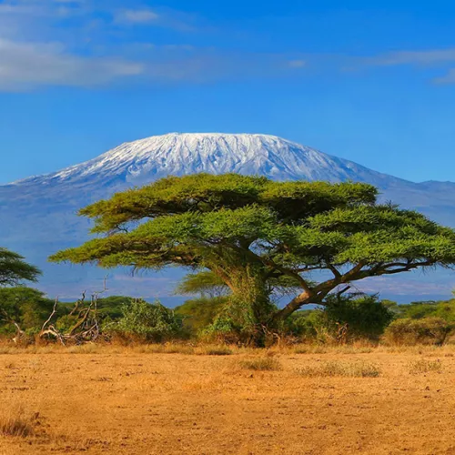 Afrique